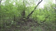 10-05-2025 релаксация