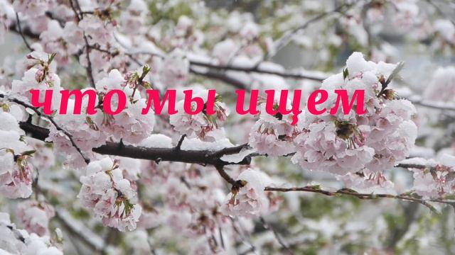 Цитата о любви красивые слова о прекрасном чувстве