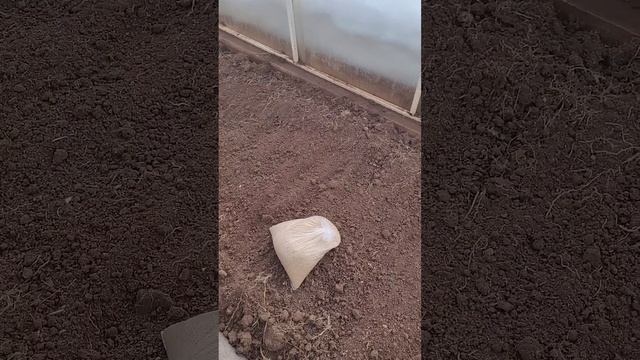 Подготовка теплицы к посадочному сезону.