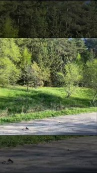 Поездка в город.