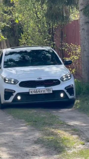 Белоснежка.