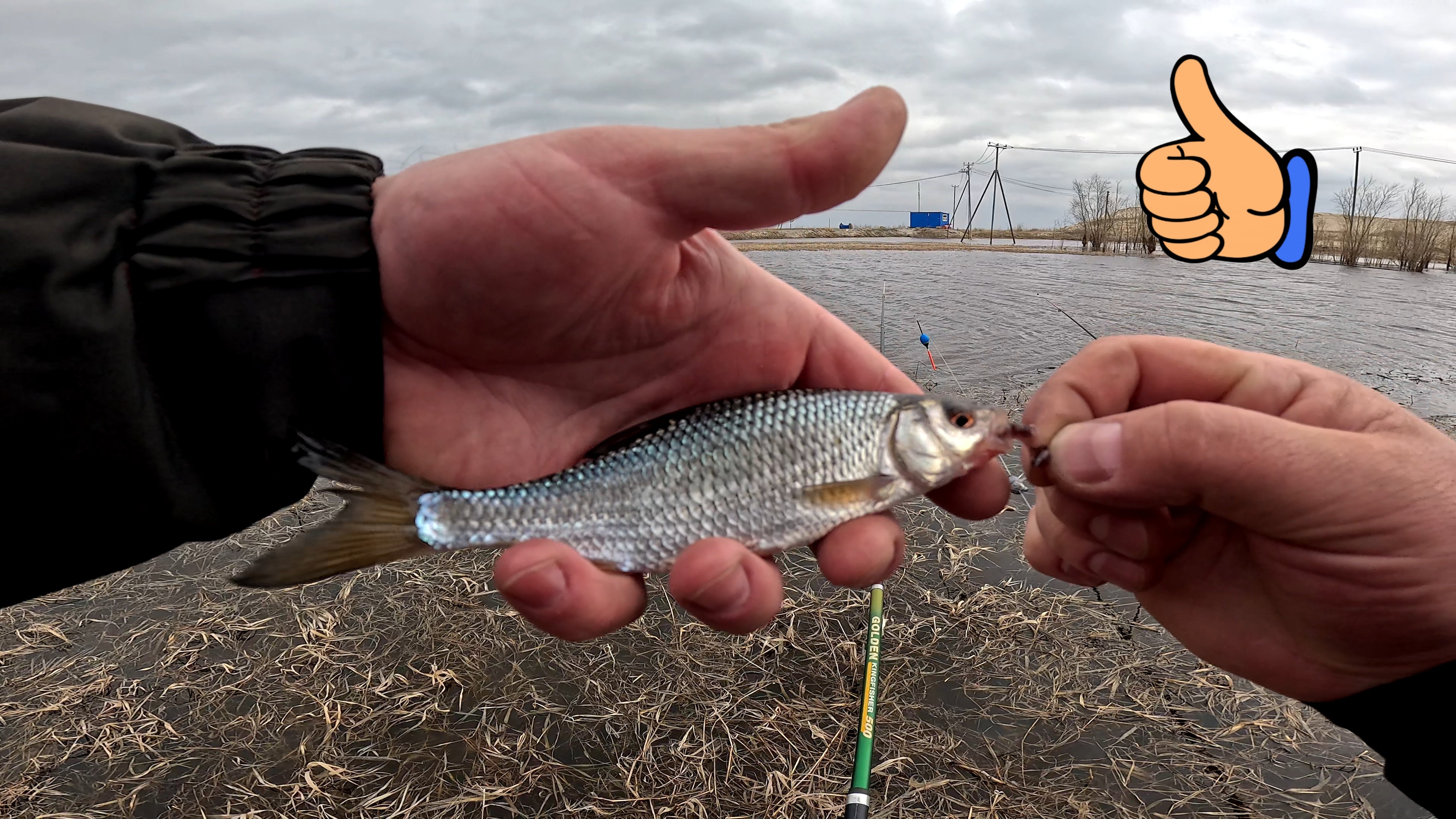 Ловлю рыбку на поплавок и на спиннинг!!!