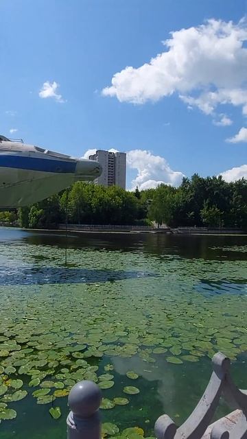 Можно плыть по воде, над водой и под водой.