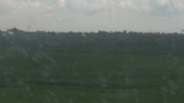 VID_20250501_113143.mp4