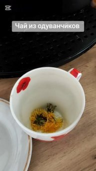 Чай из одуванчиков.