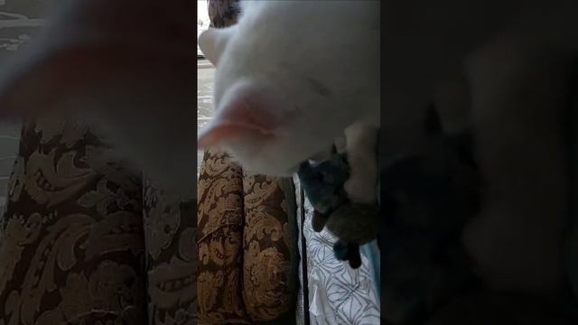 Расслабляемся