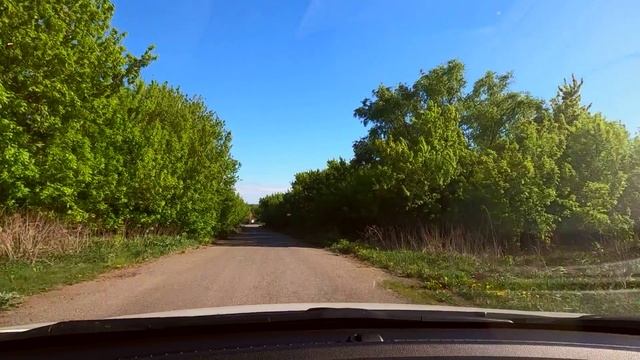 Талицкий 6.05.25