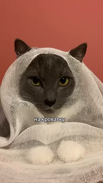 Страшно? :)