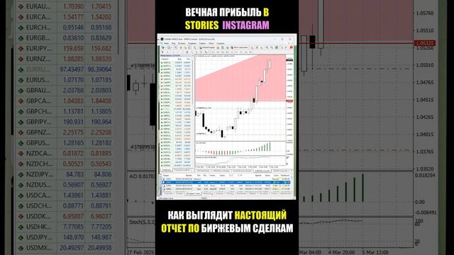 Торговля на бирже . как выглядит настоящий отчет по сд?