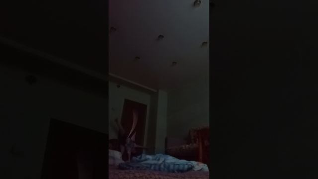 учюсь делать мостик