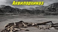 Aquilarhinus