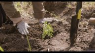 Этот контент создан для жителей будущего - но доступен вам сейчас! - First Floor -- En attendant Ana