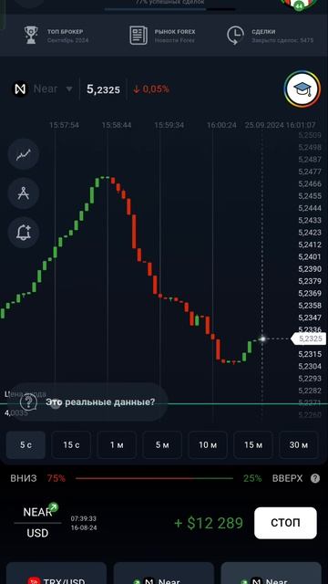25 сентября 2024 г.