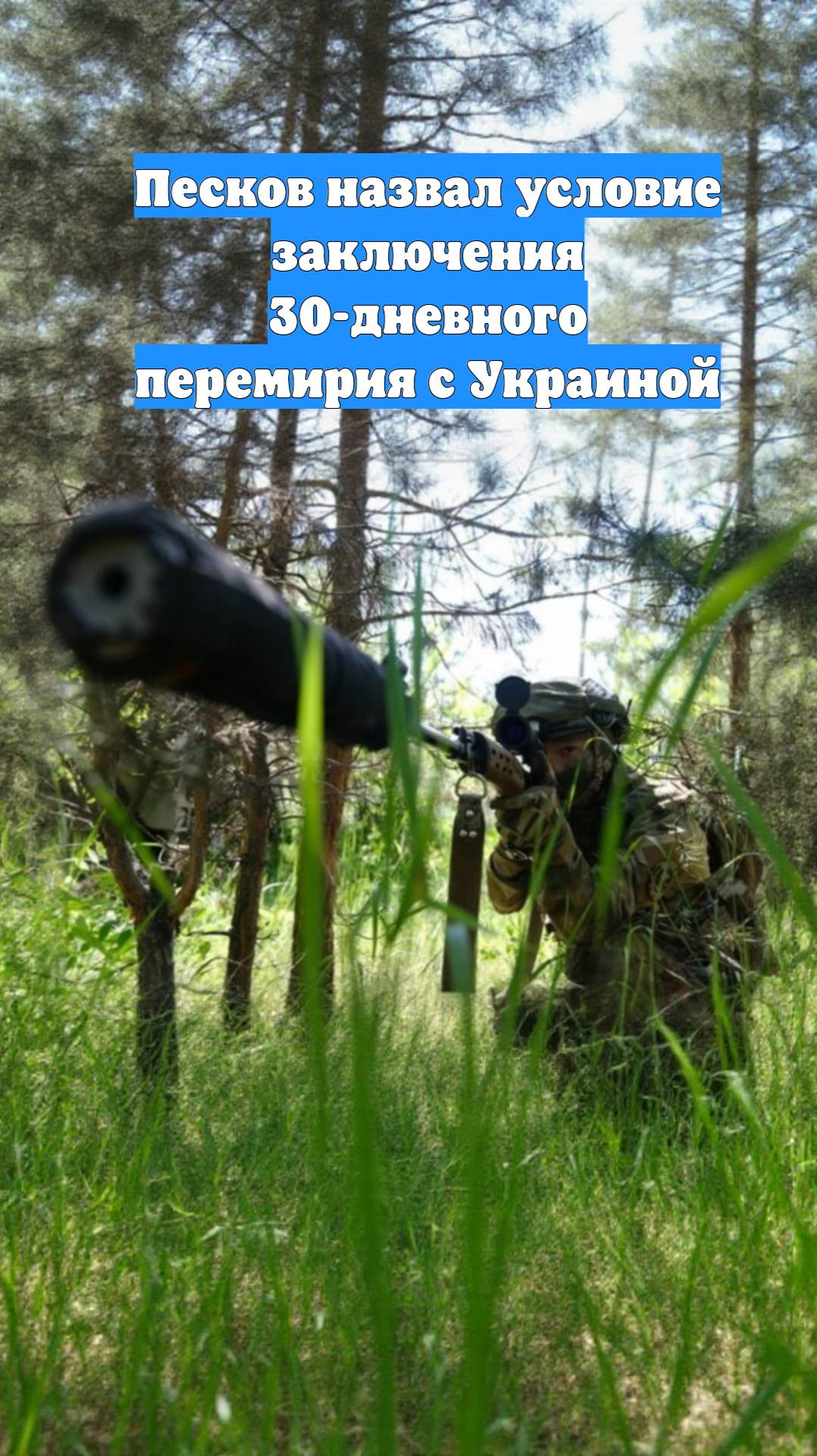 Песков назвал условие заключения 30-дневного перемирия с Украиной