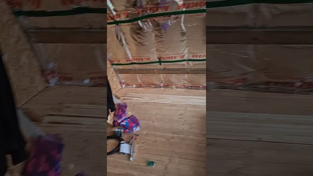 1000023407.mp4 (Собака смотрит на каркас для э/кабелей, установленный в доме А-фрейм)