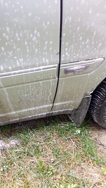 Yofidra грязь не стекает