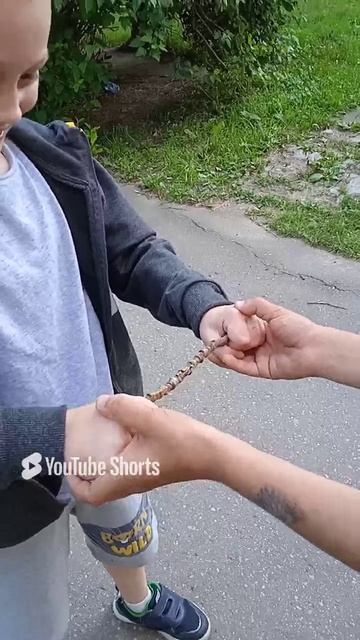 мы уничтожаем палочку