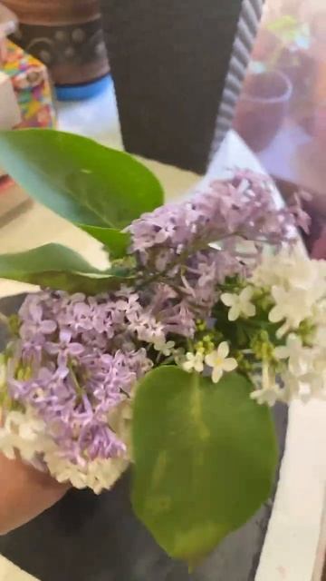 Цветы и запахи детства🌸🌺🌹🥀🌼