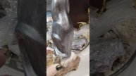 Создание самоцветной композиции на деньги. Начало раб