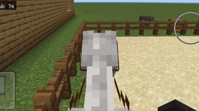 🐎Влог 2.🍃Конфета родила?Кто родился?
