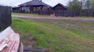 река Тура Санкино вода прибывает