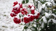 Зима вернулась , песня на авторские стихи