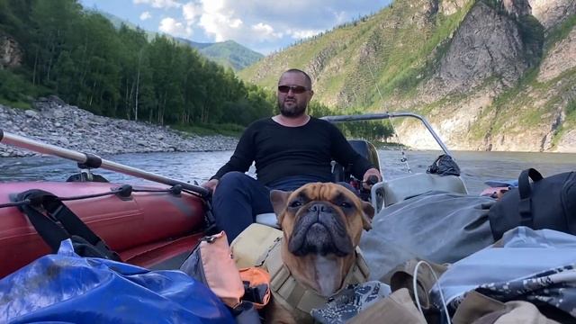 Vlog 1. Французский бульдог на рыбалке  г.#mountains #nature #fishing #река #енисей #сплавпореке