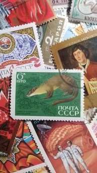 Почта СССР 1970 г. Харза Сихоте-Алинский заповедник