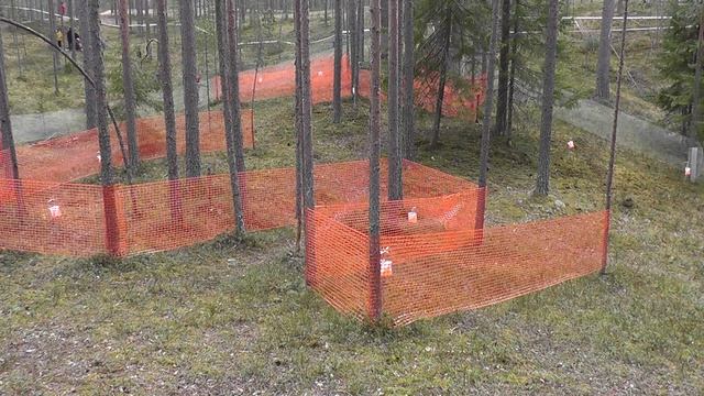 Змей Горыныч 2025 лабиринт 6