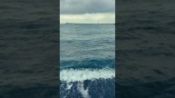 Камнетерапия на черноморском побережье в Сочи.