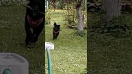 1000086152.mp4