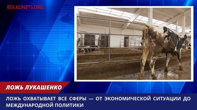 Северная Корея обвинила Лукашенко во лжи