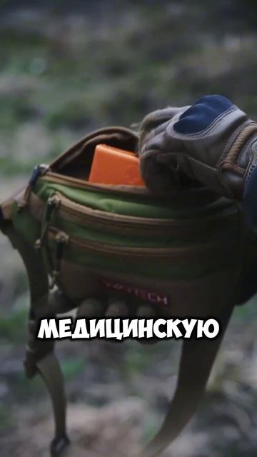 Одна из лучших поясных сумок #страйкбол #рекомендации #shorts #airsoft #military