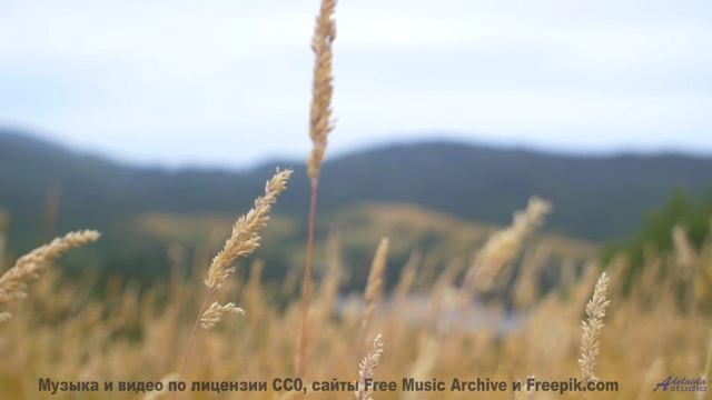 Эта музыка в сочетании с природой сведёт с ума - Follow Your Heart -- Tadz -- My Way, All Day, Every