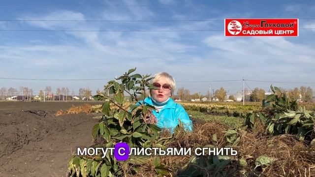 Садовый центр Веры Глуховой продлил еще на неделю онл?