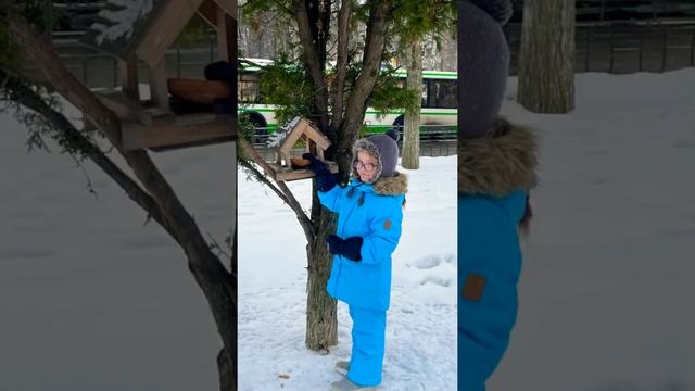 акция «Помоги птицам пережить холода»