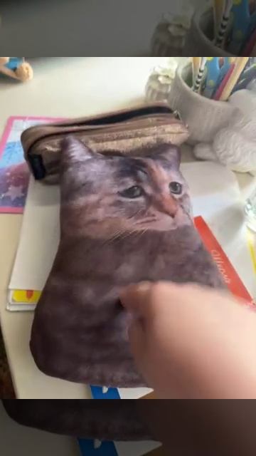 Дайте лайков и подписчиков на пропитание котику!🙏