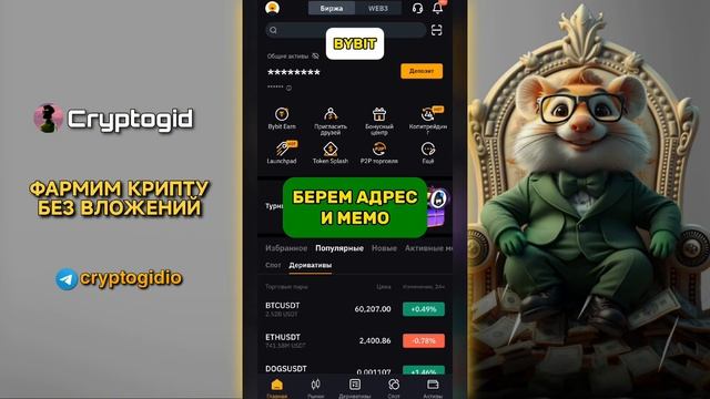 Как вывести монеты в Хамстер Комбат | Куда лучше вывес?