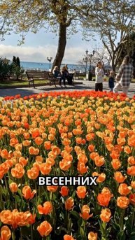Весенний рэп (1)