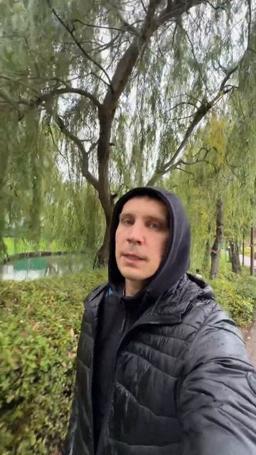 4 октября 2024 г.