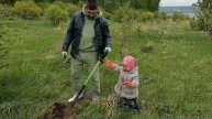 Аллея Победы 2