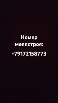 13 февраля 2025 г.