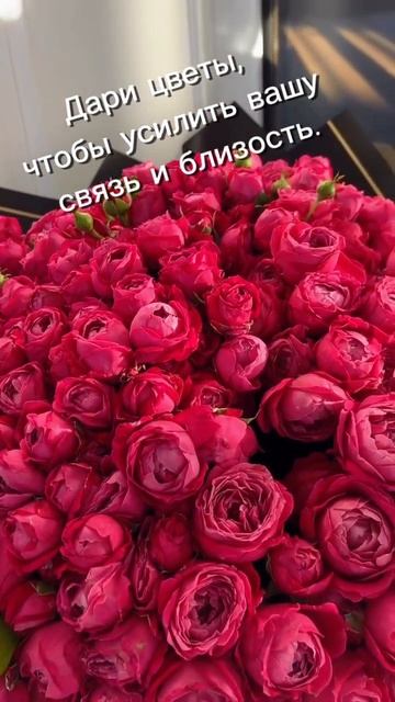 Цветы✨