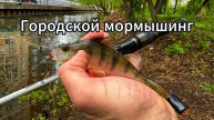 Городской мормышинг. Ловим на мелководье