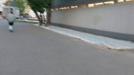 Москва зеленеет