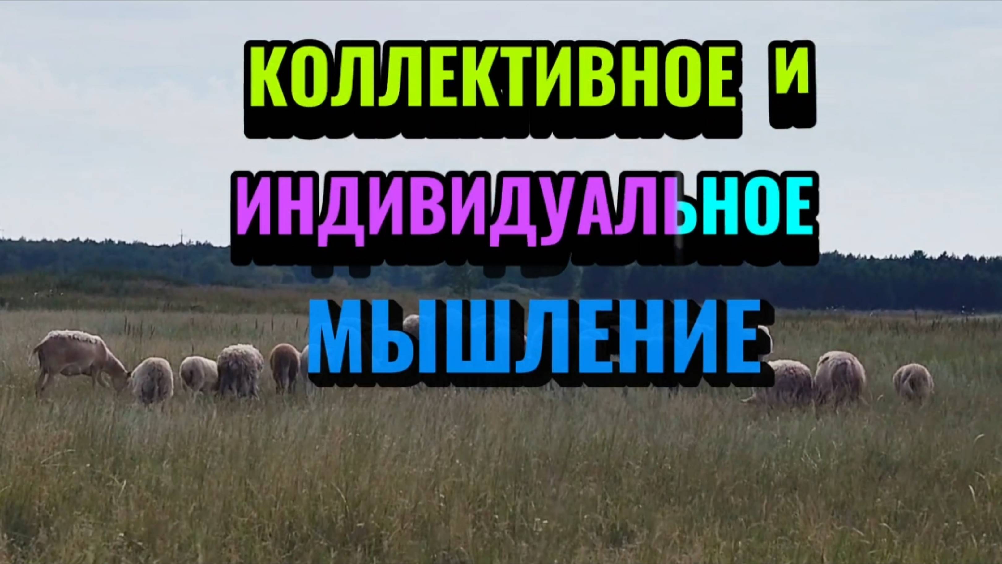 КОЛЛЕКТИВНОЕ и ИНДИВИДУАЛЬНОЕ МЫШЛЕНИЕ.