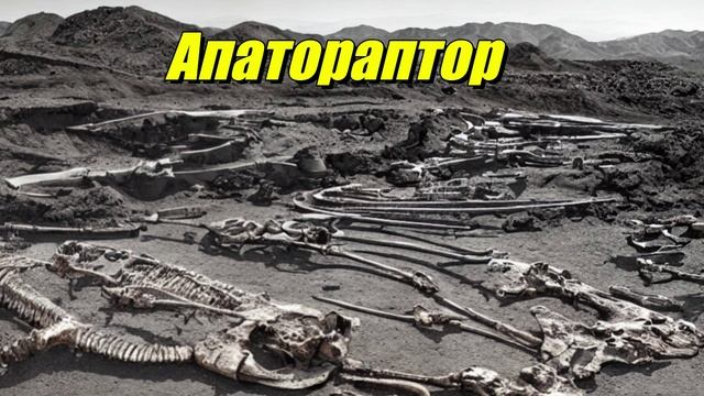 Apatoraptor