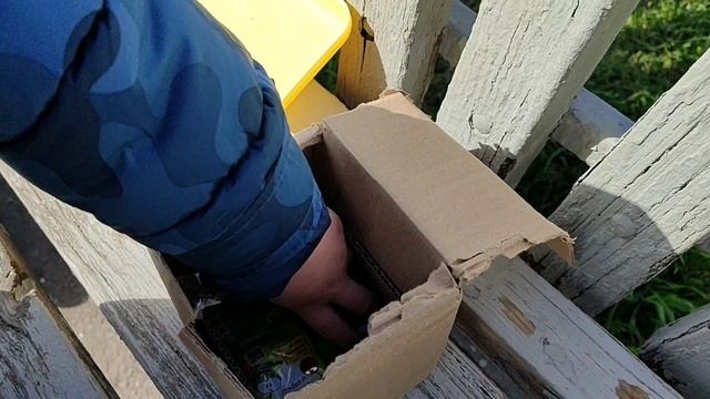 Алисия...Распаковка Ам-нямов из Пятёрочки .. май 2025г.