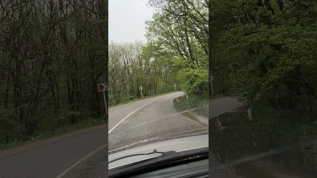 1000032392.mp4