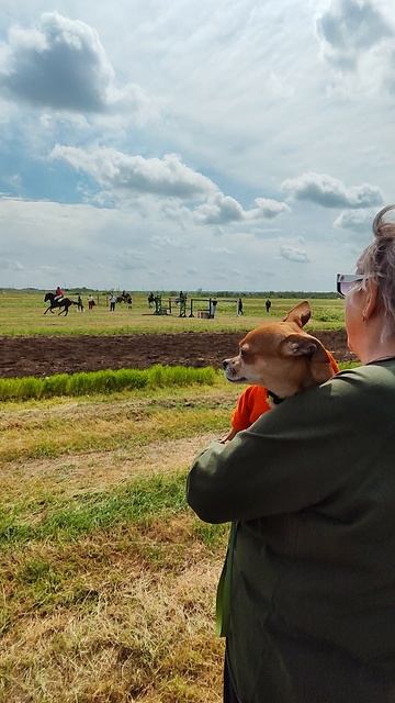 Скачки п. Орловский 09.05.2025